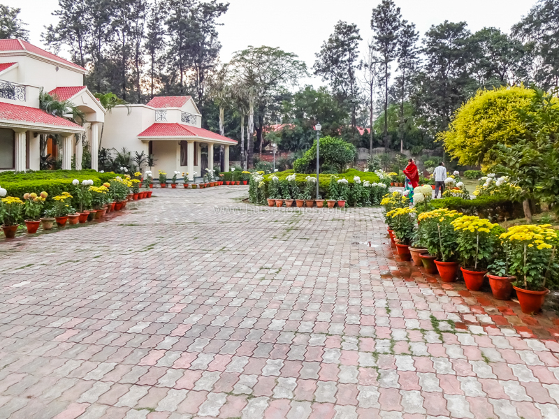 3 BHK Farm House For Rent in DLF Chttarpur