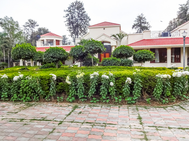 3 BHK Farm House For Rent in DLF Chttarpur