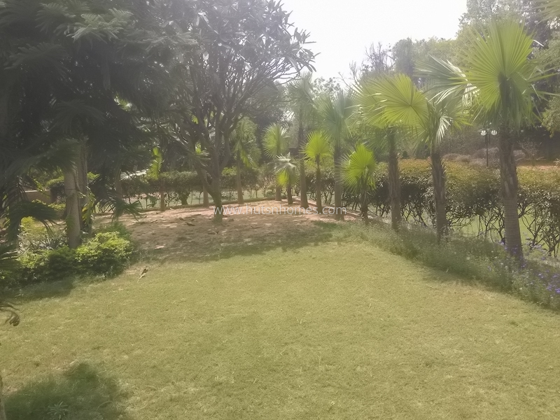 4 BHK Farm House For Rent in Asola